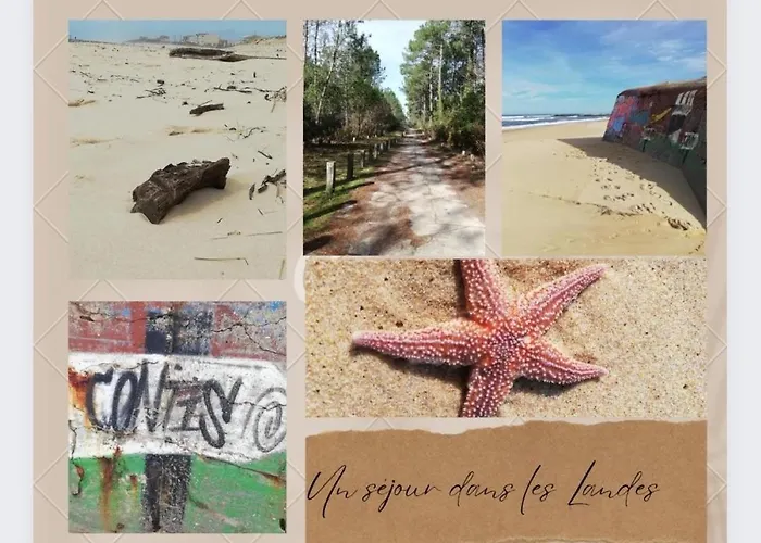 Sbvacances Confort 2ch Et 1sdb, Environnement Calme Et Verdoyant Dans 4 Etoiles