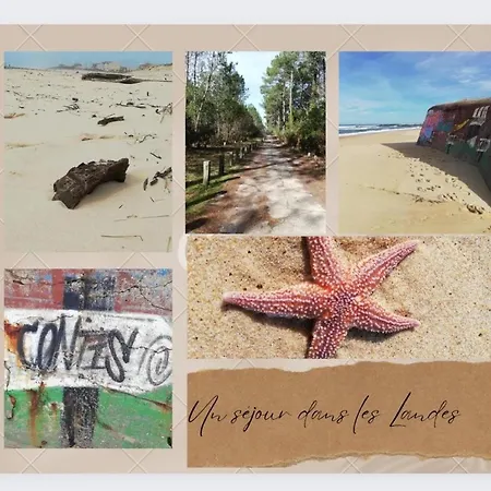 Sbvacances Confort 2ch Et 1sdb, Environnement Calme Et Verdoyant Dans 4 Etoiles
